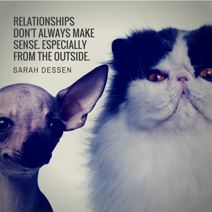 10 quotes for happy couples