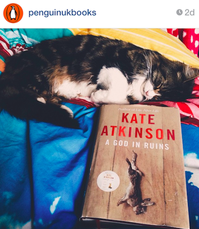 book recommendations